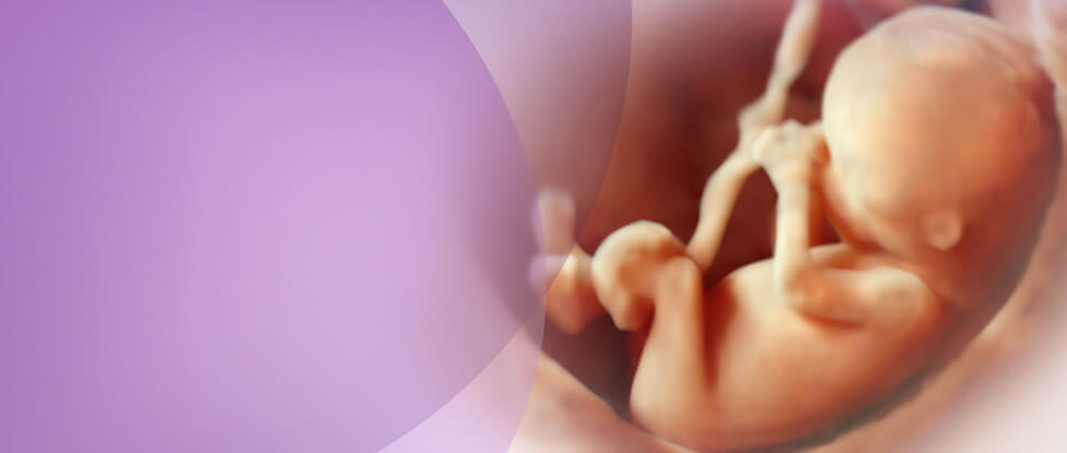 modern-imaging-slide02_03